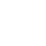 AI Opportunity Diagnostic